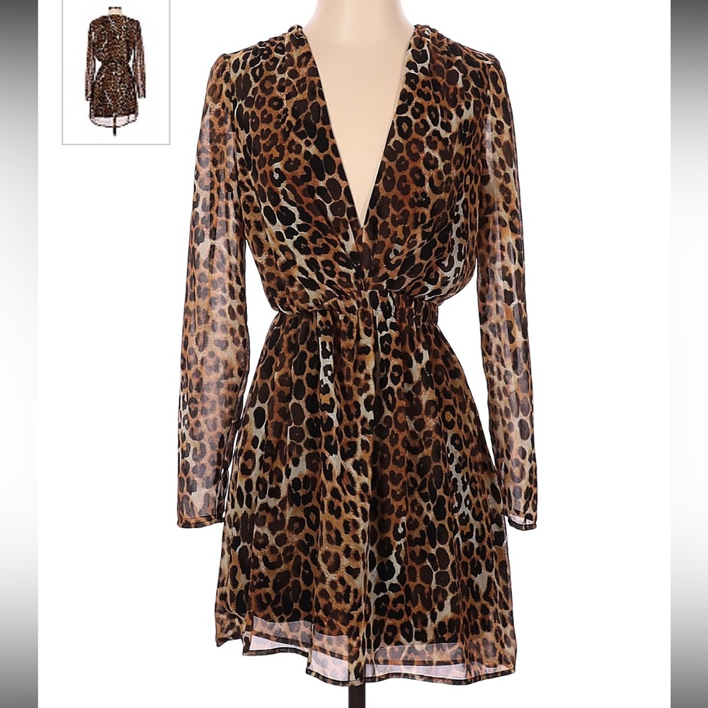Express leopard print deep V long sleeve mini dress